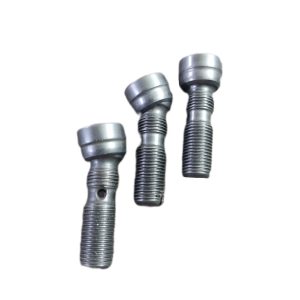 پیچ تنظیم دایون